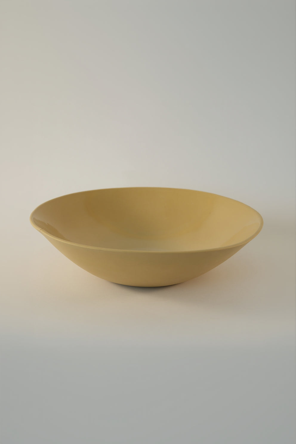Salad Bowl / Multicolor