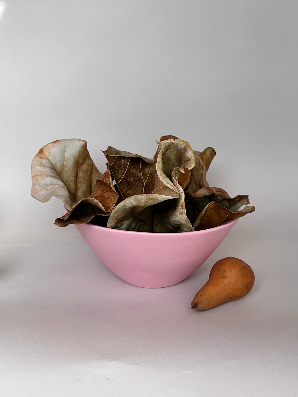 Large Fruit Bowl