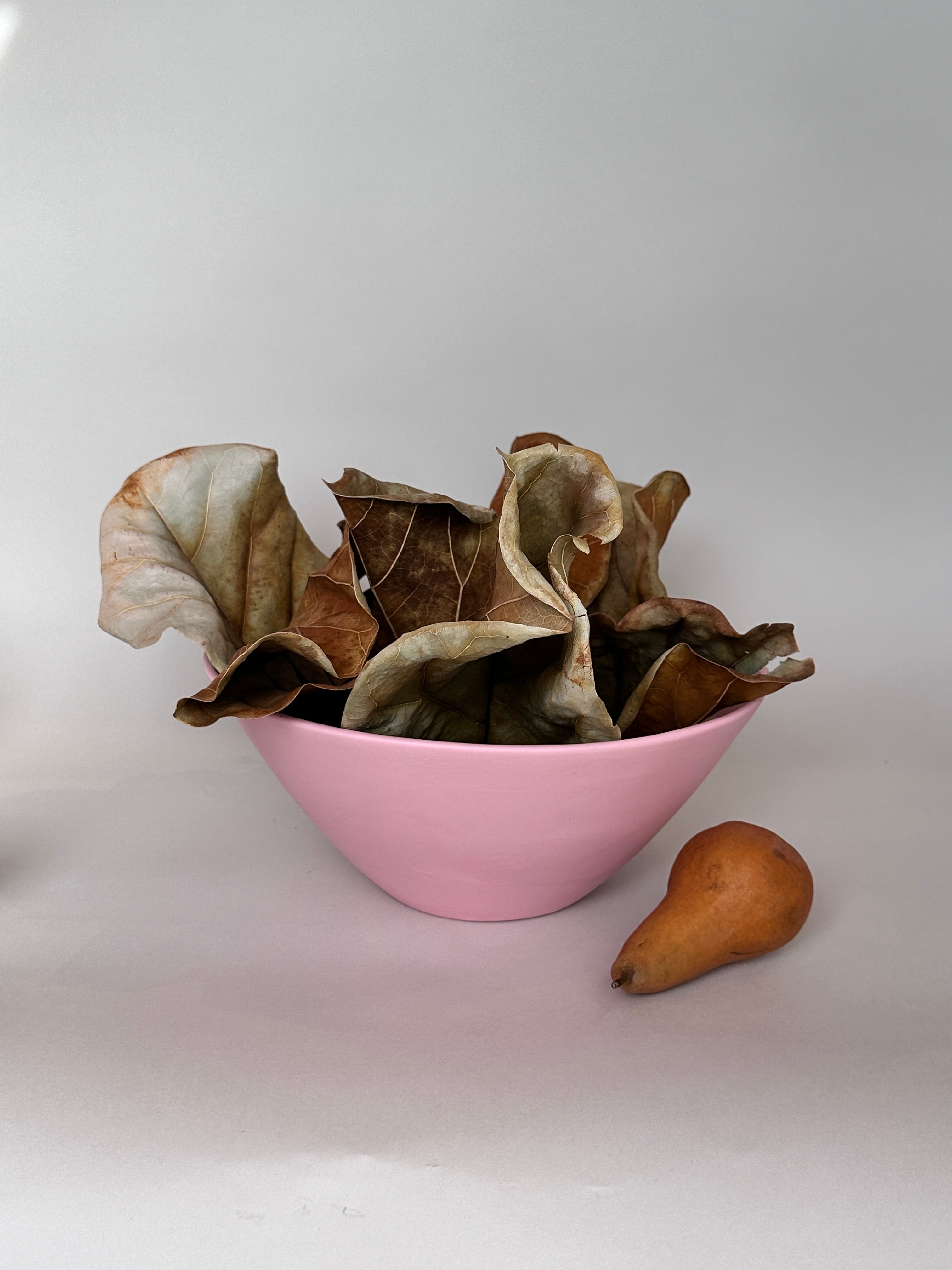 Large Fruit Bowl