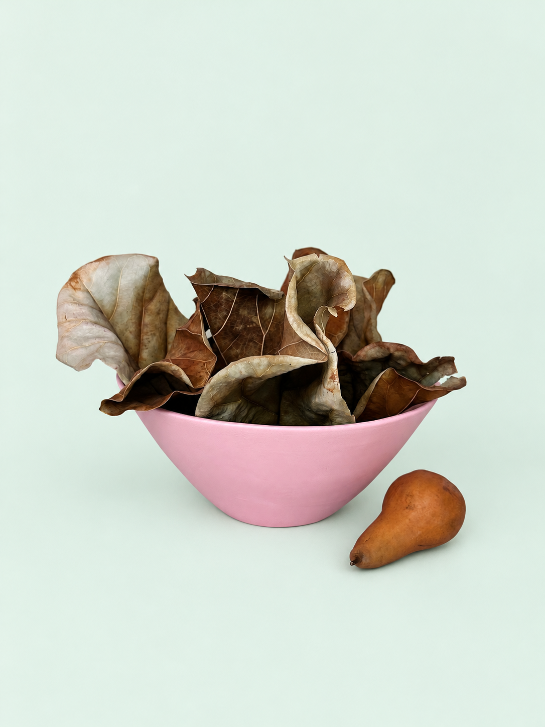 Pink Large Fruit Bowl on pale mint background